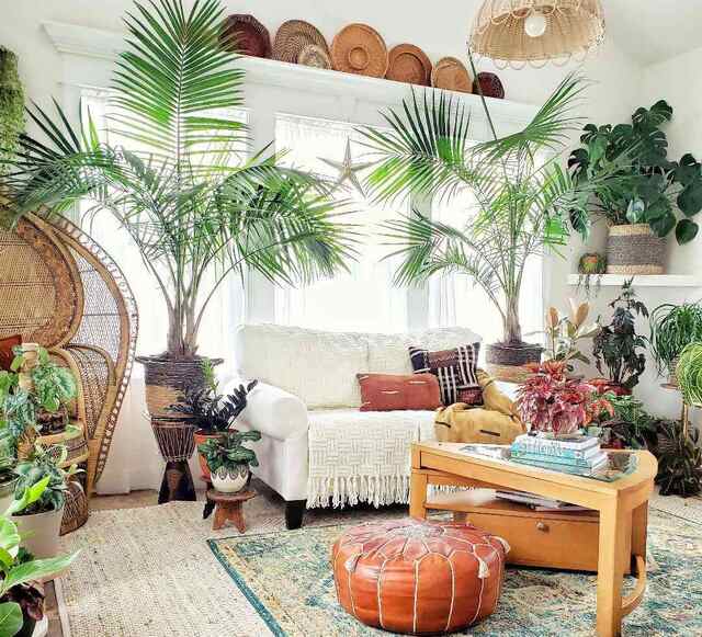 How to arrange plants in small living room