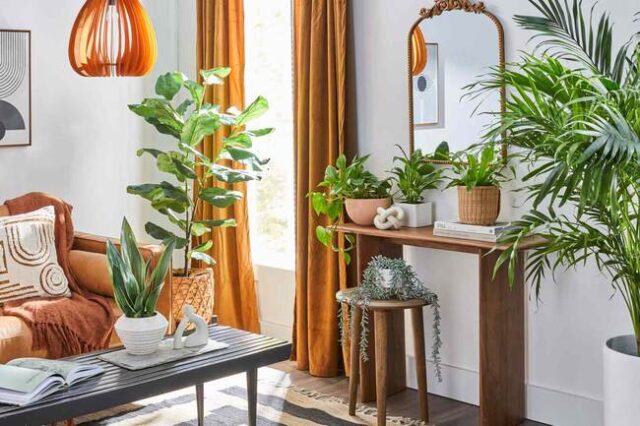 10 benefits of indoor plants