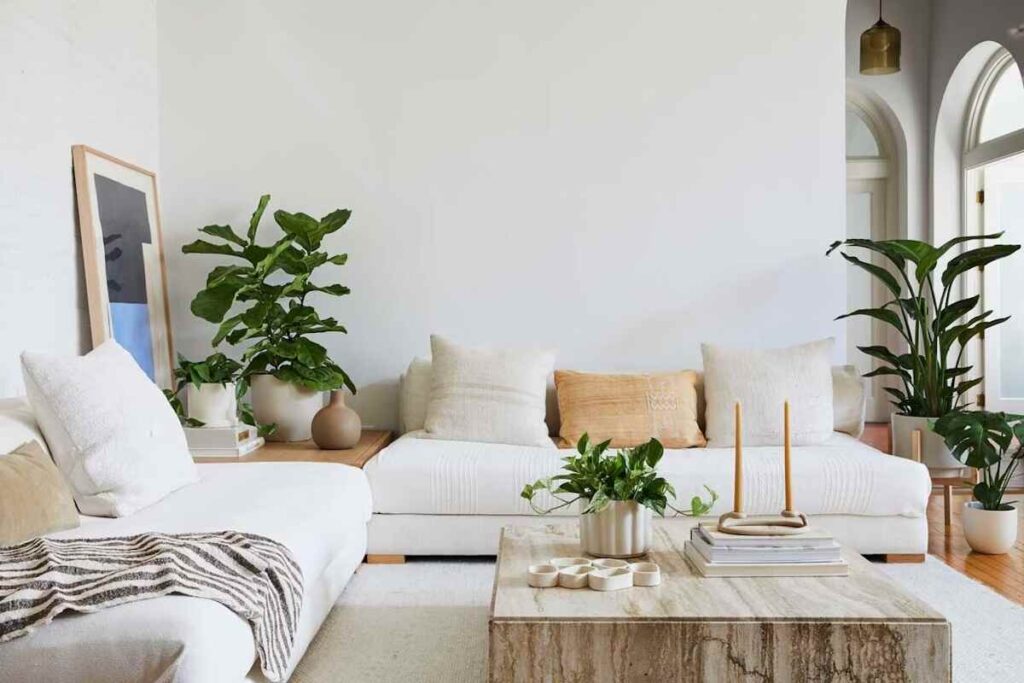 How to arrange plants in small living room