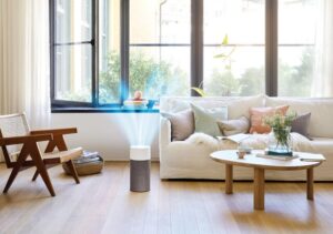 Improved Air Quality in Living Room